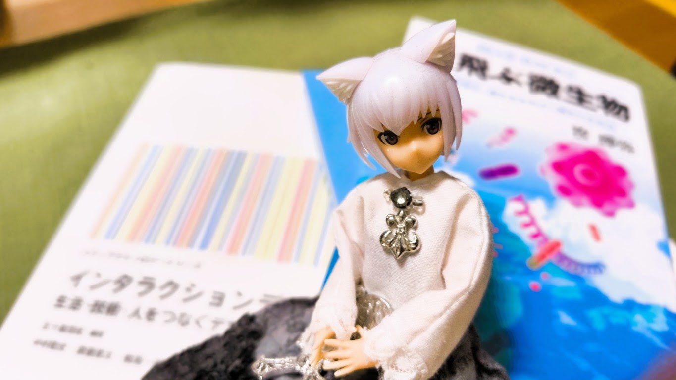 2025年11月に読んだ本